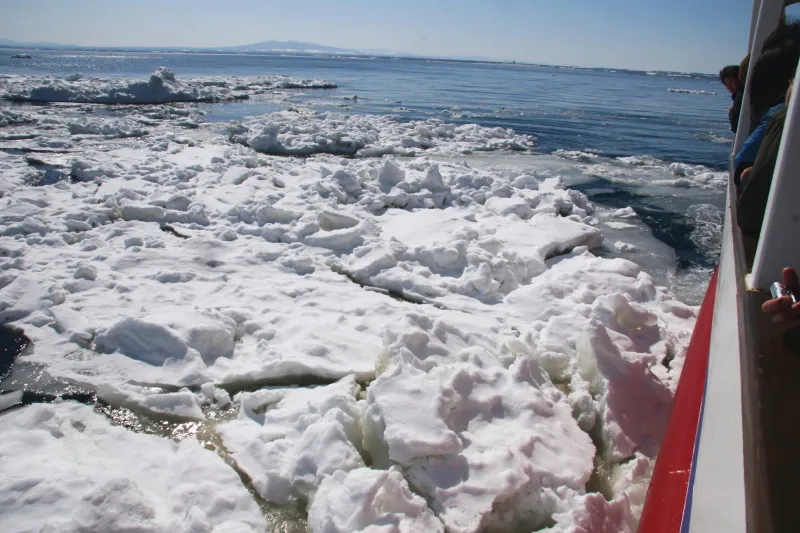 目の前を次々と流氷が流れ厚さ８０ｃｍの氷も割れる砕氷船