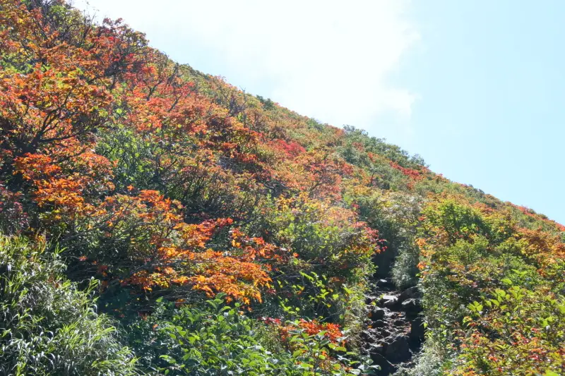 標高もかなり上がり紅葉の始まっていた磐梯山