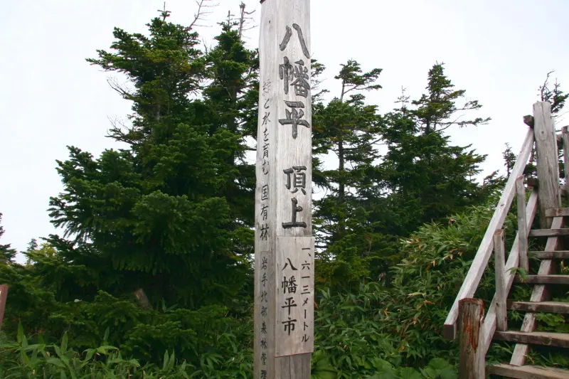 日本百名山の中でも珍しく手軽に登頂できる名山