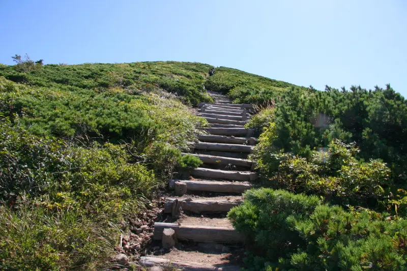 田茂萢湿原を過ぎると本格的な登山道の始まり