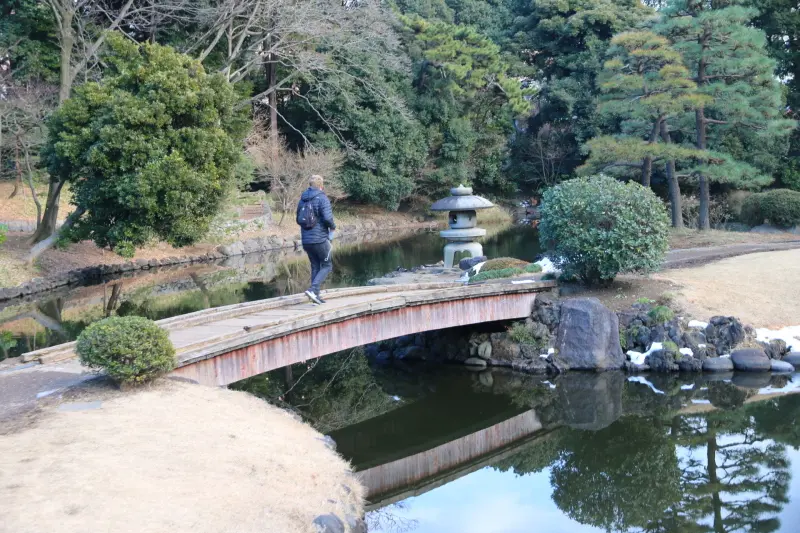 江戸時代に造園された日本庭園の玉藻池