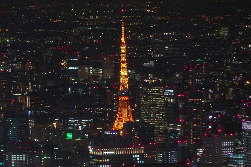 オレンジ色にライトアップされた東京タワー