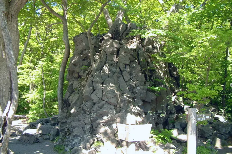 火山活動によって造り出された柱状節理の岩が点在