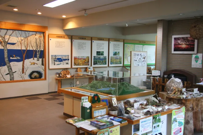 様々な展示で十和田湖と奥入瀬の自然を解説