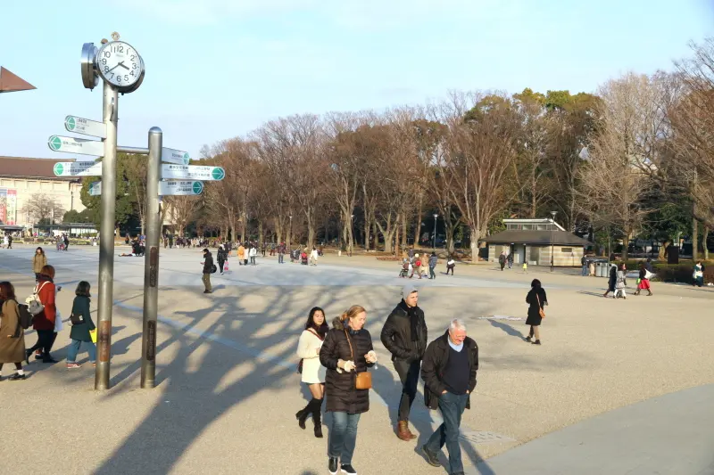 一年を通して大勢の人が訪れる上野公園