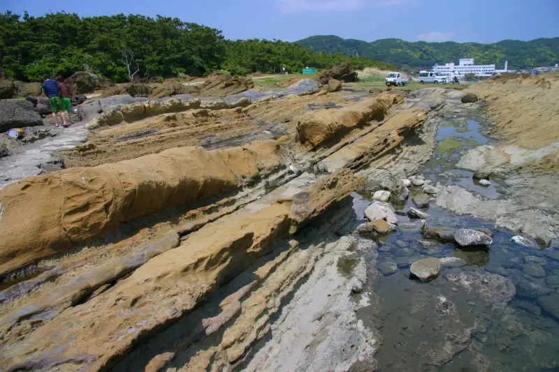 地震の隆起によって形成された野島崎の海岸段丘