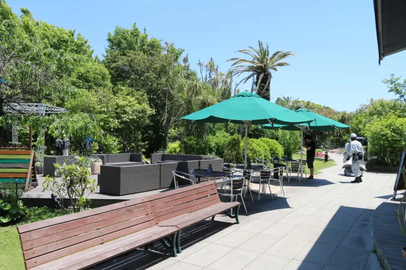 遊歩道やベンチなどが整備される緑豊かな庭園