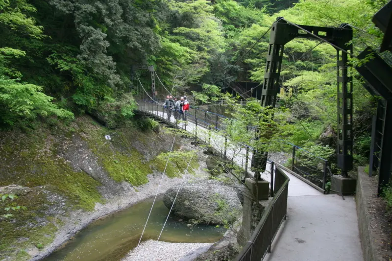 袋田の滝の下流に架けられている長さ２０ｍほどの吊り橋