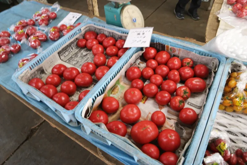 完熟した状態で収穫している真っ赤なトマト