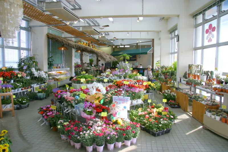 色鮮やかなお花を販売するフラワーコーナー