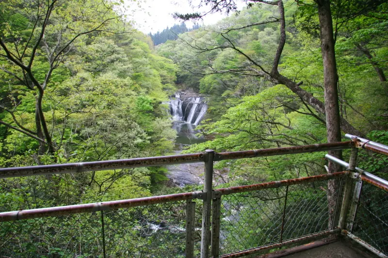 少し離れた展望台から眺める生瀬の滝