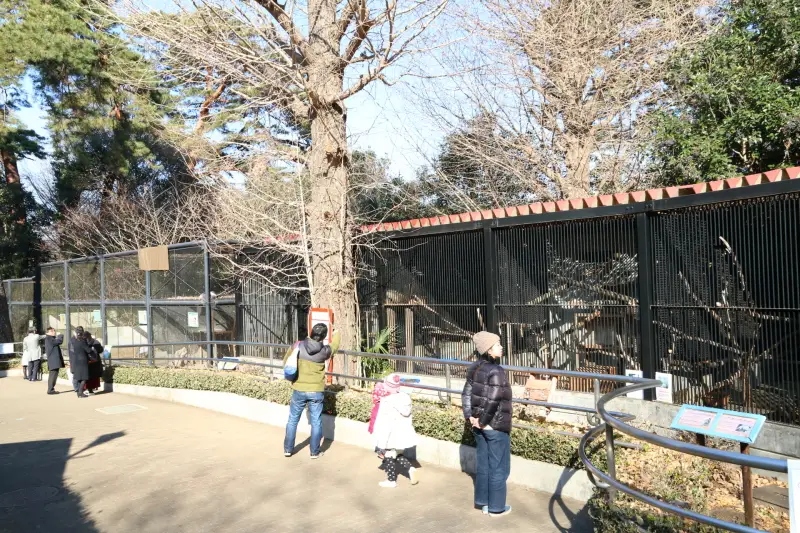 家族連れで訪れる人も多く、子どもたちにも人気の動物園