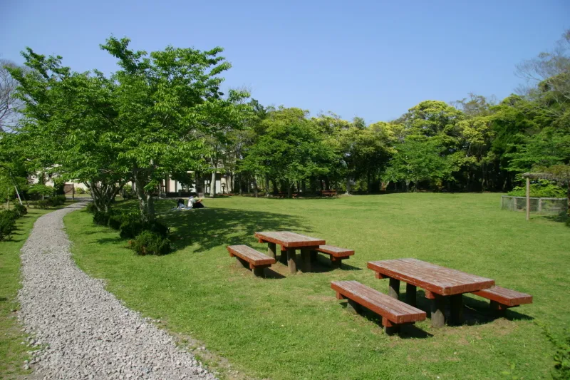 園内は緑に覆われ芝生広場はお弁当や遊びに最適