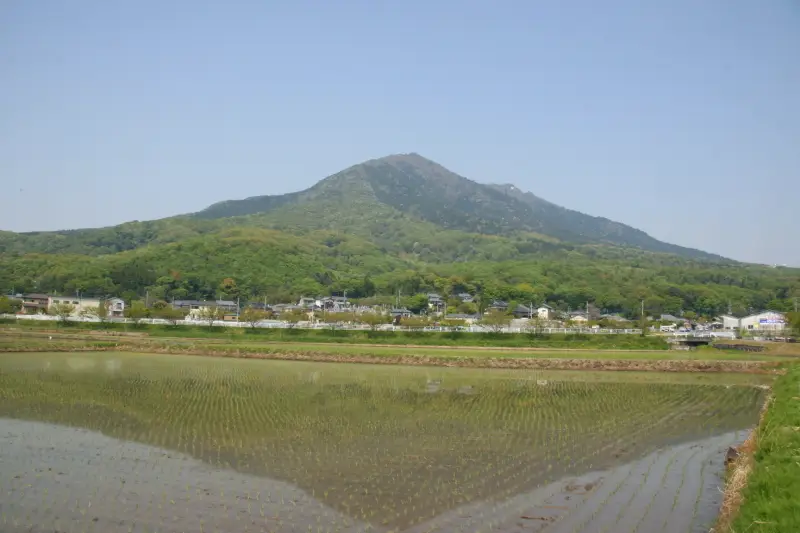 水田に山容が反射する筑波山