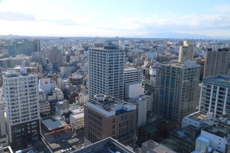 目の前には横浜市街が広がり視界が良いと富士山も見える展望