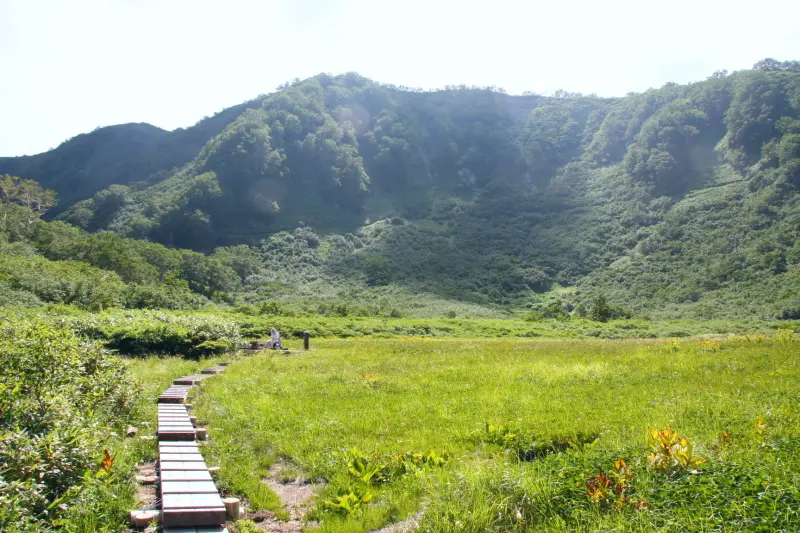 大倉山が湿原を囲うように広がる長助池