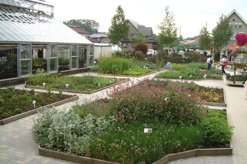 たくさんのハーブが植えられている温室と中庭ガーデン