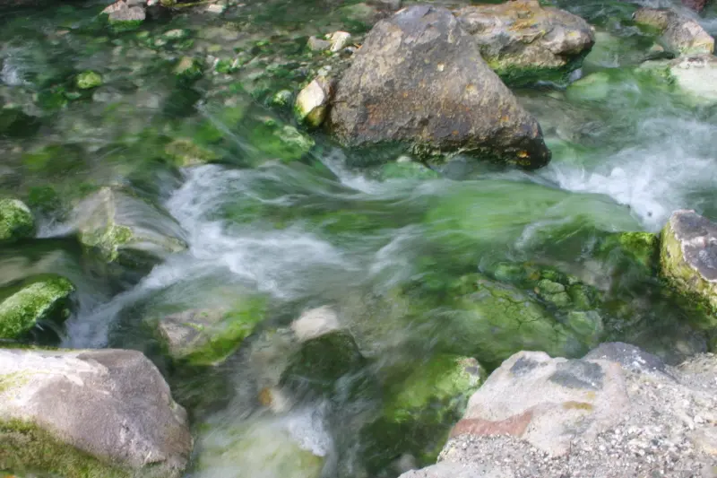 生物のいない強酸性の温泉が流れ岩には緑色をした藻類が自生