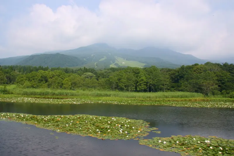 日本百名山の妙高山が眺められるビュースポット