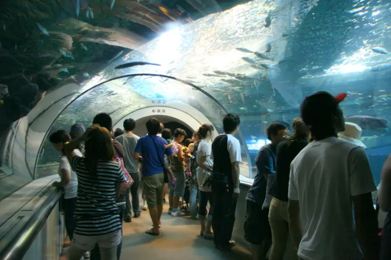 海中気分が楽しめる日本海大水槽のマリントンネル
