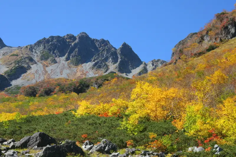 秋に登ったため、美しい紅葉が山全体に広がる光景