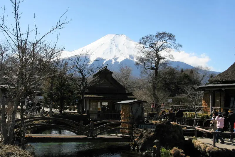 後ろには富士山も眺められる絶好のロケーション