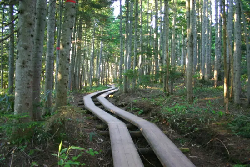 キツイ急坂や階段が３０分ほど続き、その後、木道に変わる三平峠
