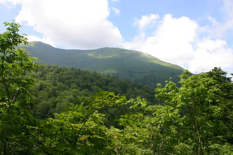 少し歩くと木々の間から見えた日本百名山の至仏山
