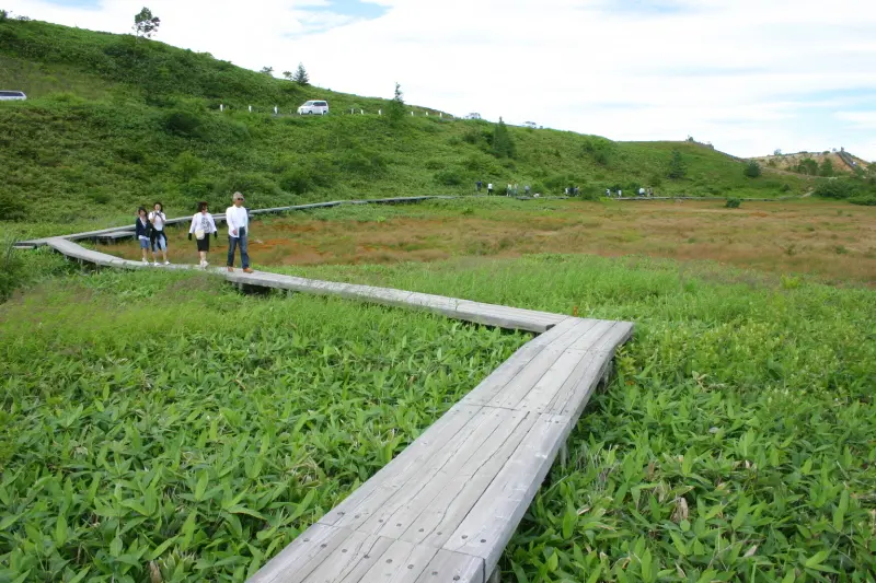 湿地帯には木道が整備されていて自然散策のできるスポット