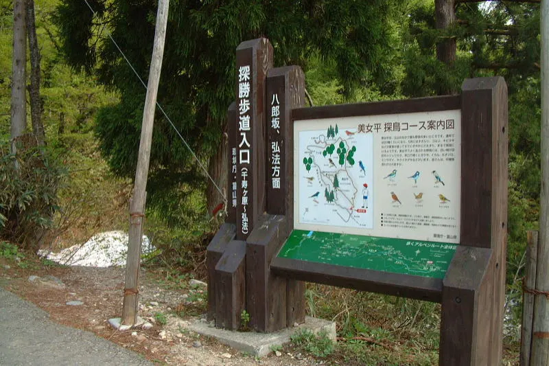 周辺は遊歩道が整備され、探鳥コースなどで自然散策が可能