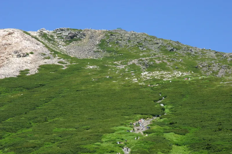 緑豊かな裾野が広がり、その中をたくさんの登山者が登る光景