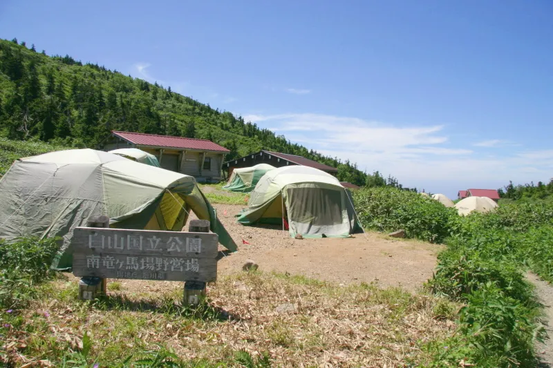 白山で唯一のテント場となっている南竜ヶ馬場野営場