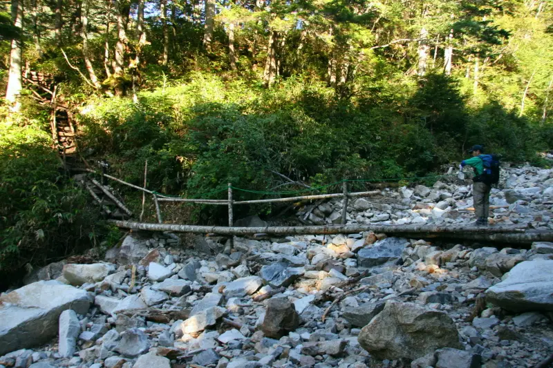 小さな丸太橋も架けられ、沢に沿って進む登山道