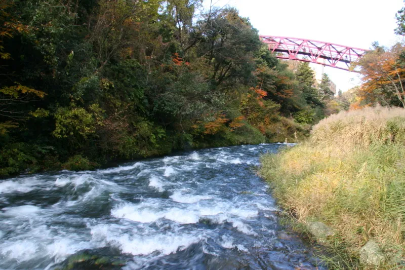 渓谷の中を流れる比較的水量の多い大聖寺川