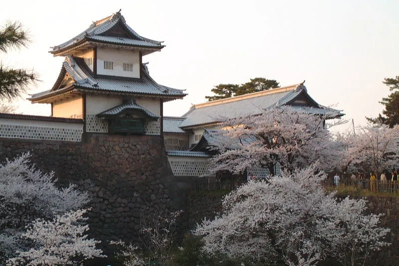 美しい桜と石川門。春になると桜の名所に早変わり