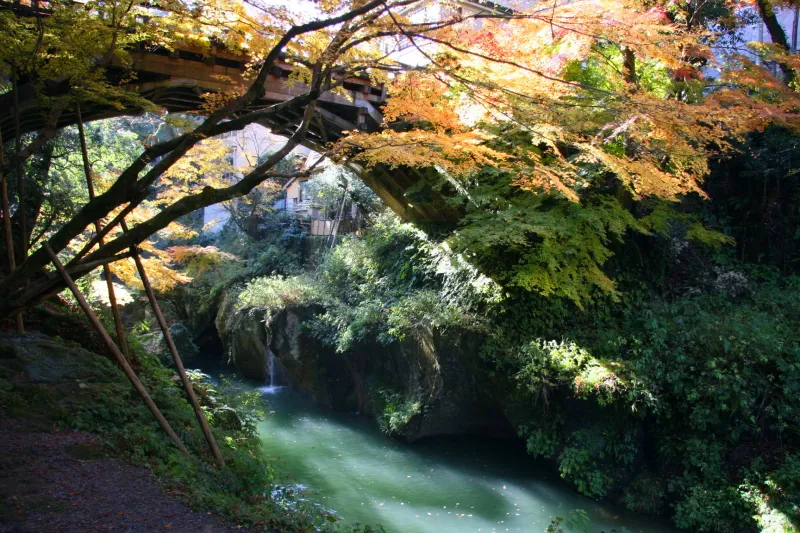 橋の下は渓流となっていて幻想的な自然美