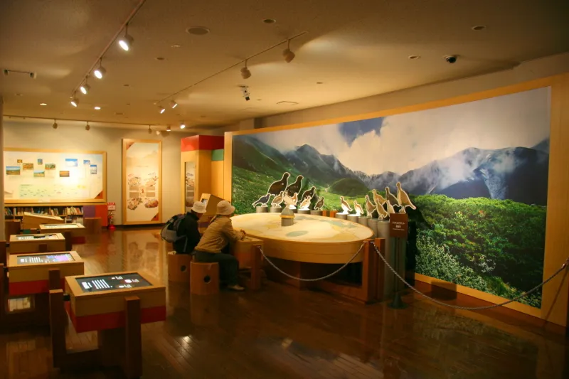 立山の貴重な動植物を紹介する館内の様子