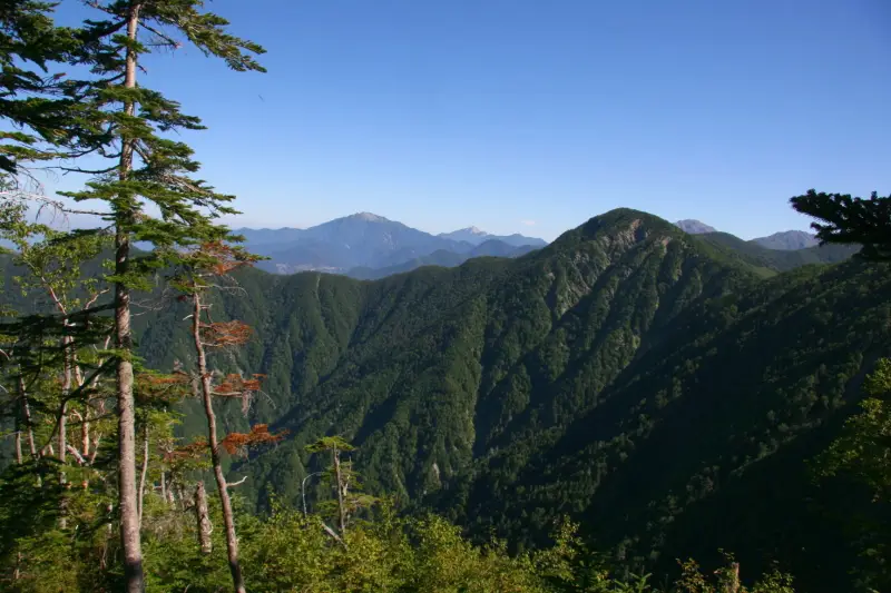 標高２５００ｍを越え、奥の方に見える仙丈ヶ岳と木曽駒ヶ岳