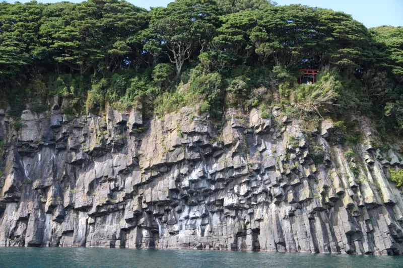 雄島で「ハチの巣岩」と呼ばれている火山活動で形成された柱状節理