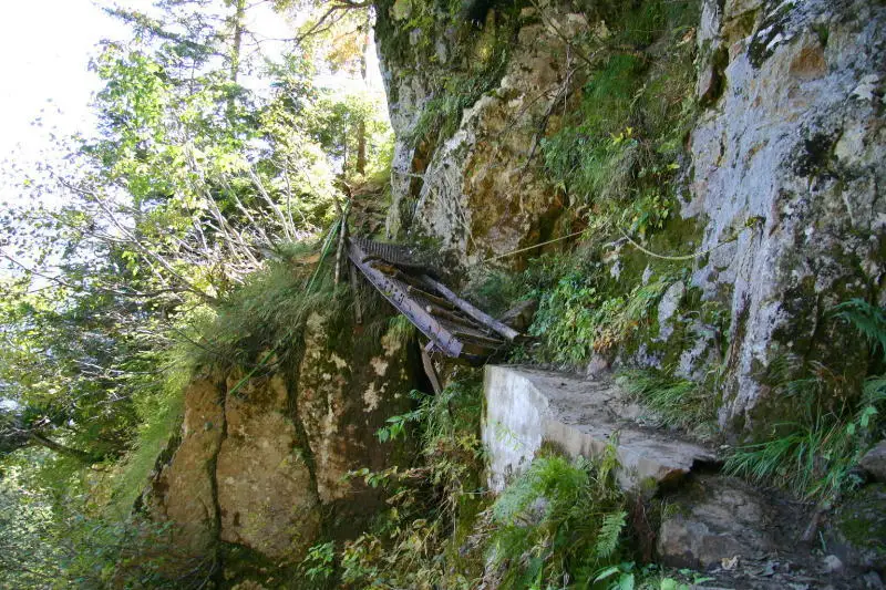 歩きやすい登山道の合間に出てくるハシゴの岩渡り