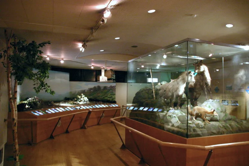 バスターミナル地下１階にある乗鞍自然展示館（入館無料）