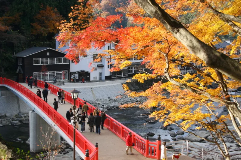 秋には色鮮やかな紅葉と朱色の橋が美しい撮影ポイント