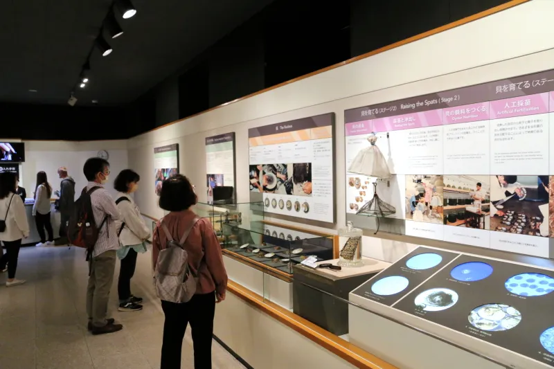 真珠の歴史や養殖方法を紹介する真珠博物館