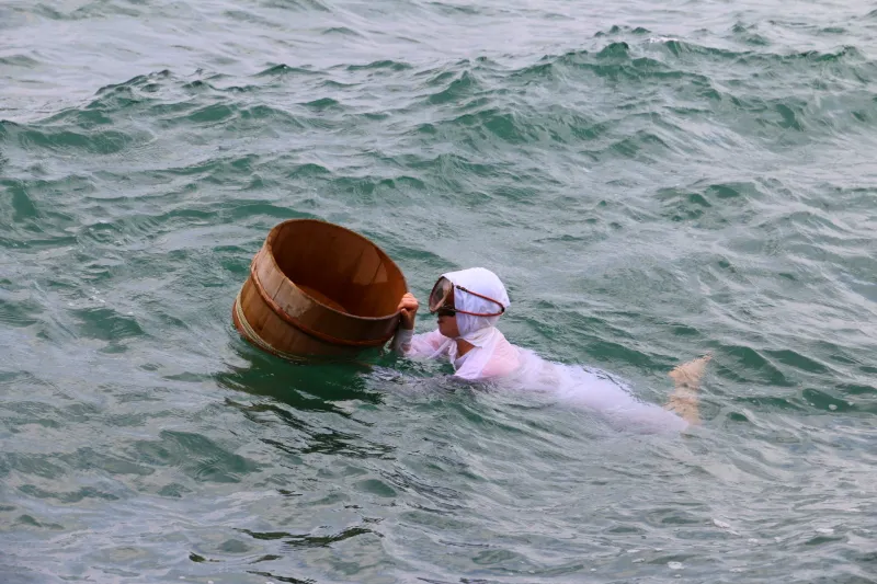 白い磯着を着た海女さんが潜り、実際に海底から貝を採って海面に浮上