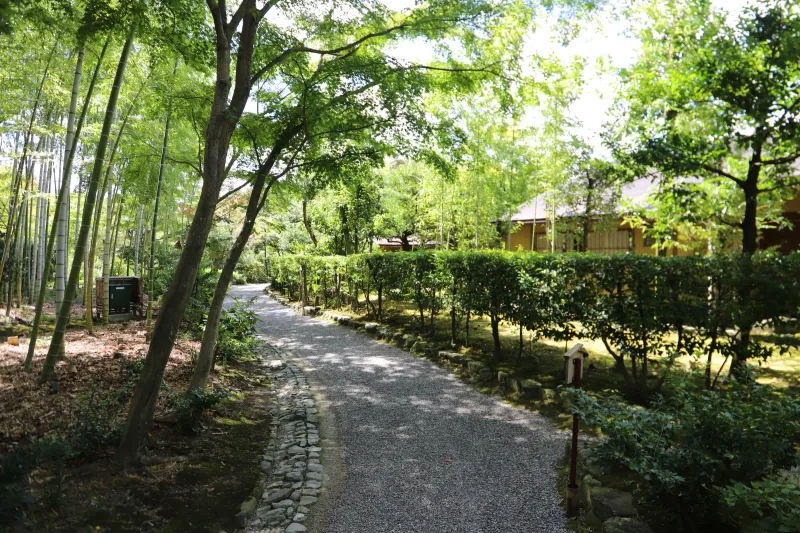 園内は緑に覆われ、自然散策のできる日本庭園