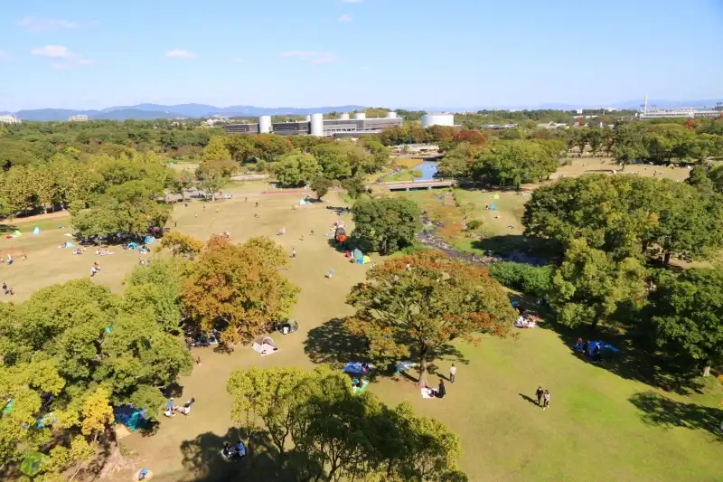 全体が緑の木々に覆われる憩いの公園