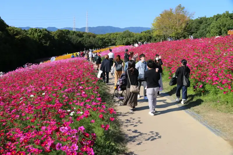 一年を通して様々な花が咲き誇り、お花の名所としても有名