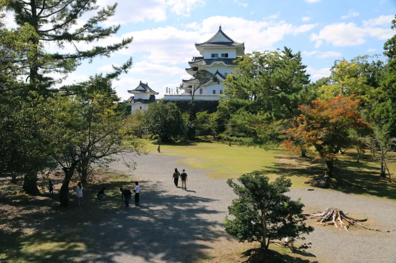 天守閣を中心に整備されている上野公園