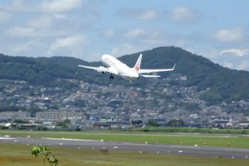 「大空の丘」は離陸が眺められる展望スポット