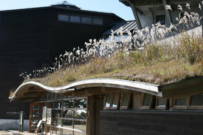 波打つように設計されたエコ屋根はススキの生える太陽熱吸収の屋根